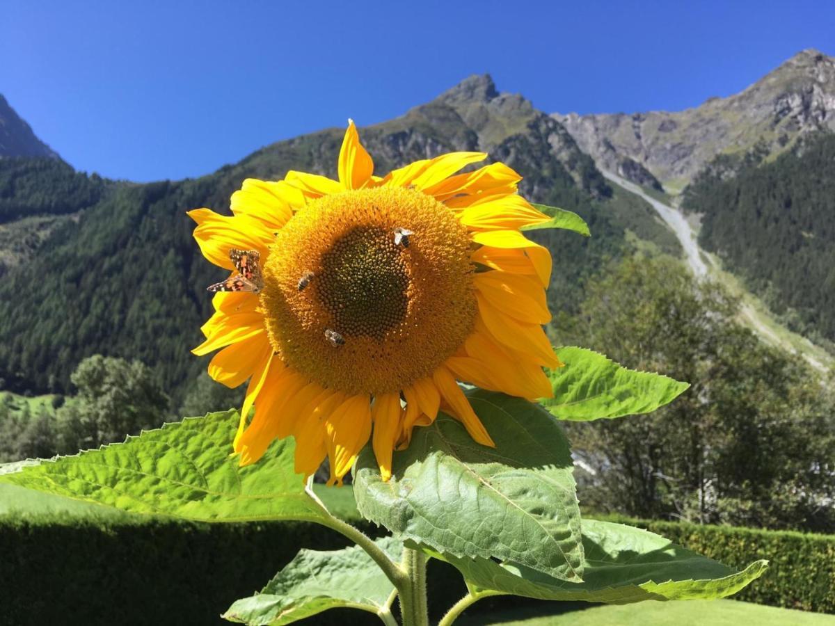 Haus Sonnwend * Sölden